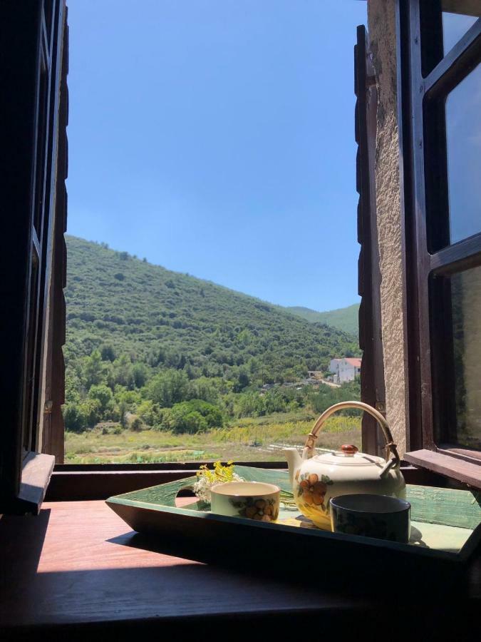 Holiday Home Villa Kastel Zrnovo Екстер'єр фото